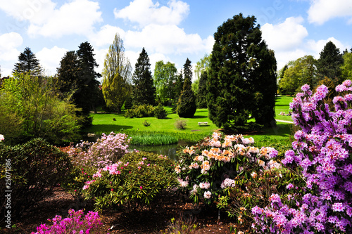 Colorful park