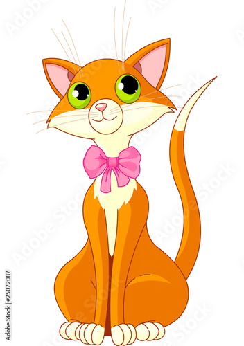 Very Cute  cat