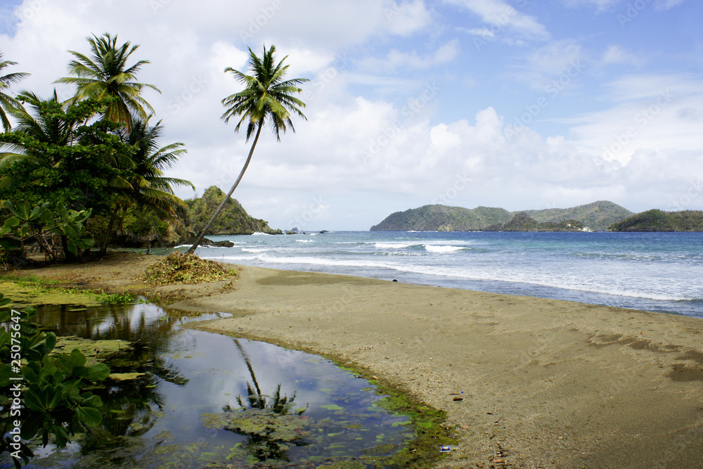 ocean coast trinidad