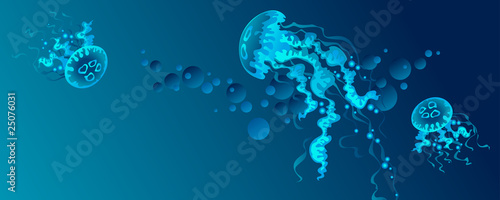 Jellyfish at the blue background.