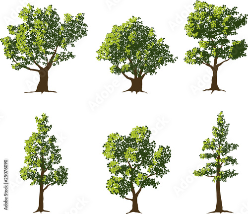 Trees