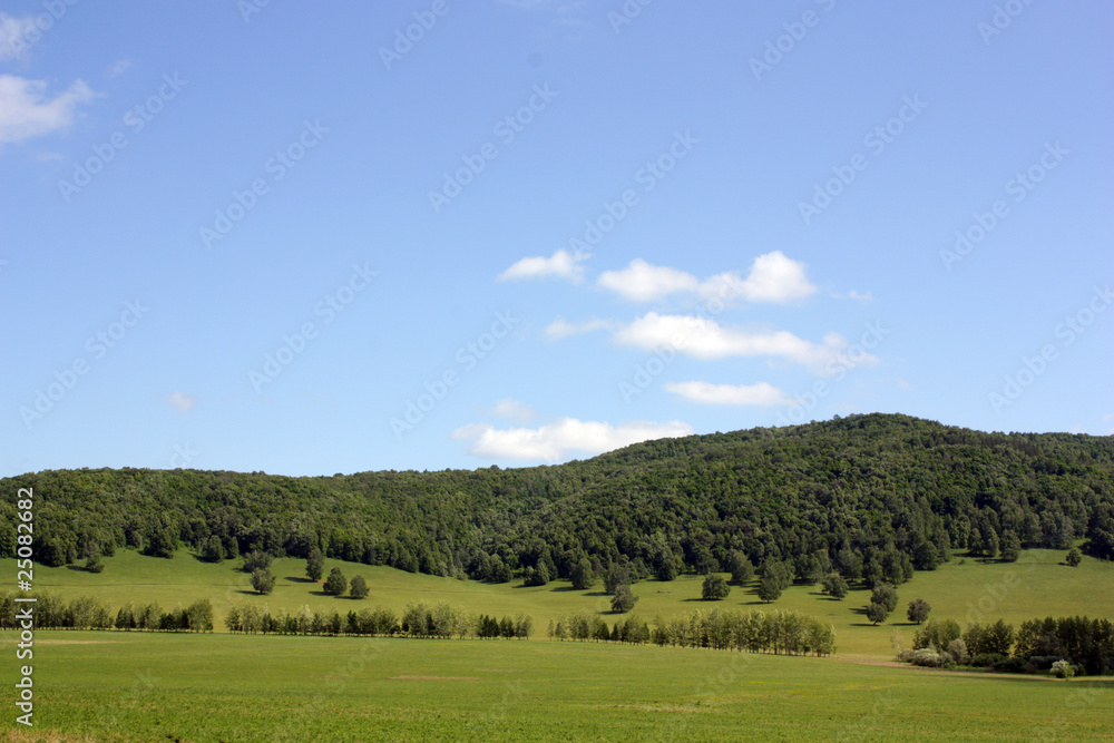 Summer landscape with mountains