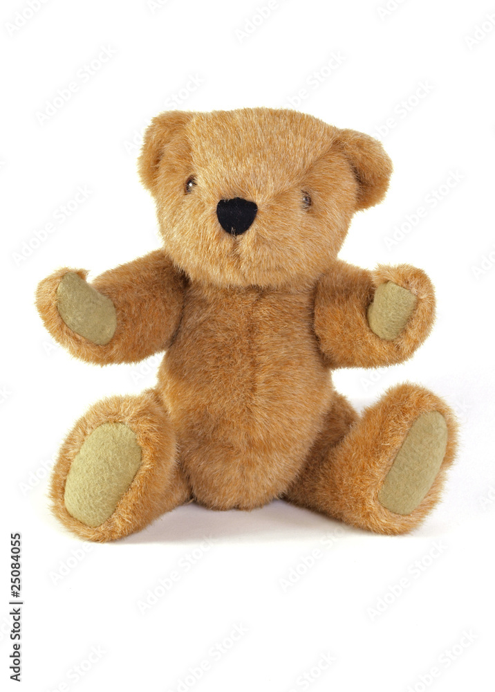 Fototapeta premium Teddy Bear on a plain white background.