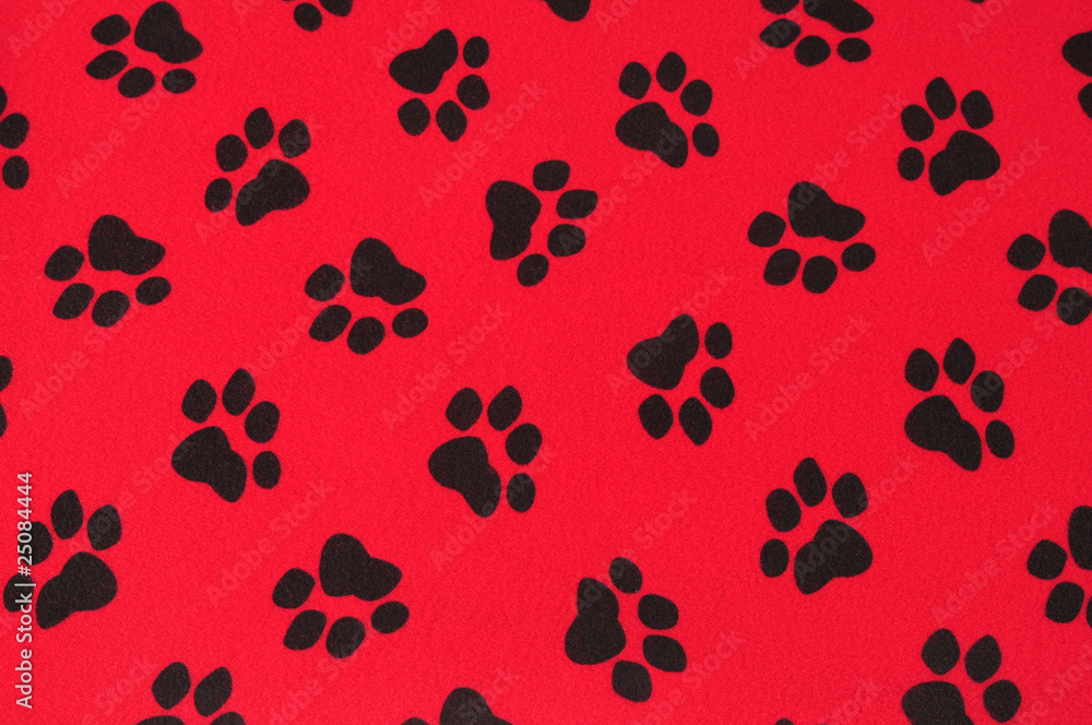Paw print. Paw print.