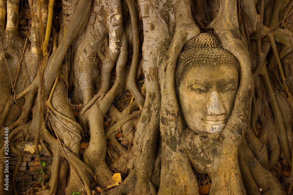 A stone buddha head in the tree roots, Thailand.
