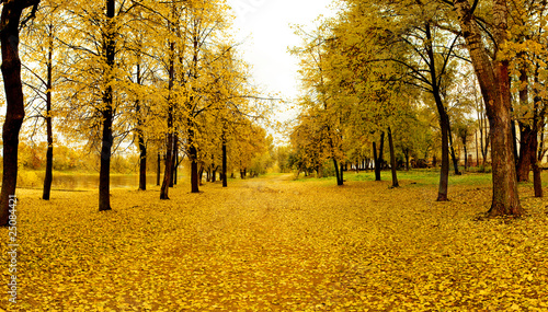 Mellow autumn in park in Vitebsk