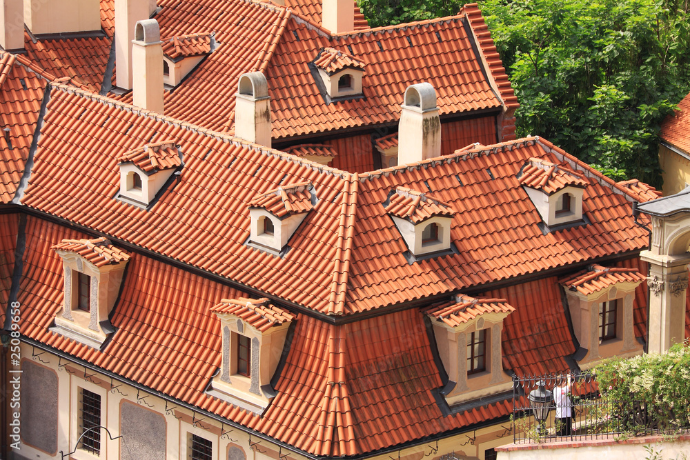 The View on old Prague's Roofs