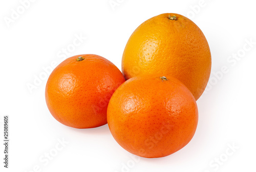 three citrus