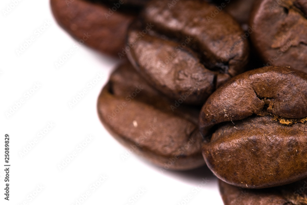 macro shot of coffe bens, isolated on white macro shot of coffe bens, isolated on white