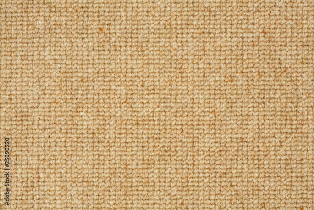 Carpet texture Carpet texture