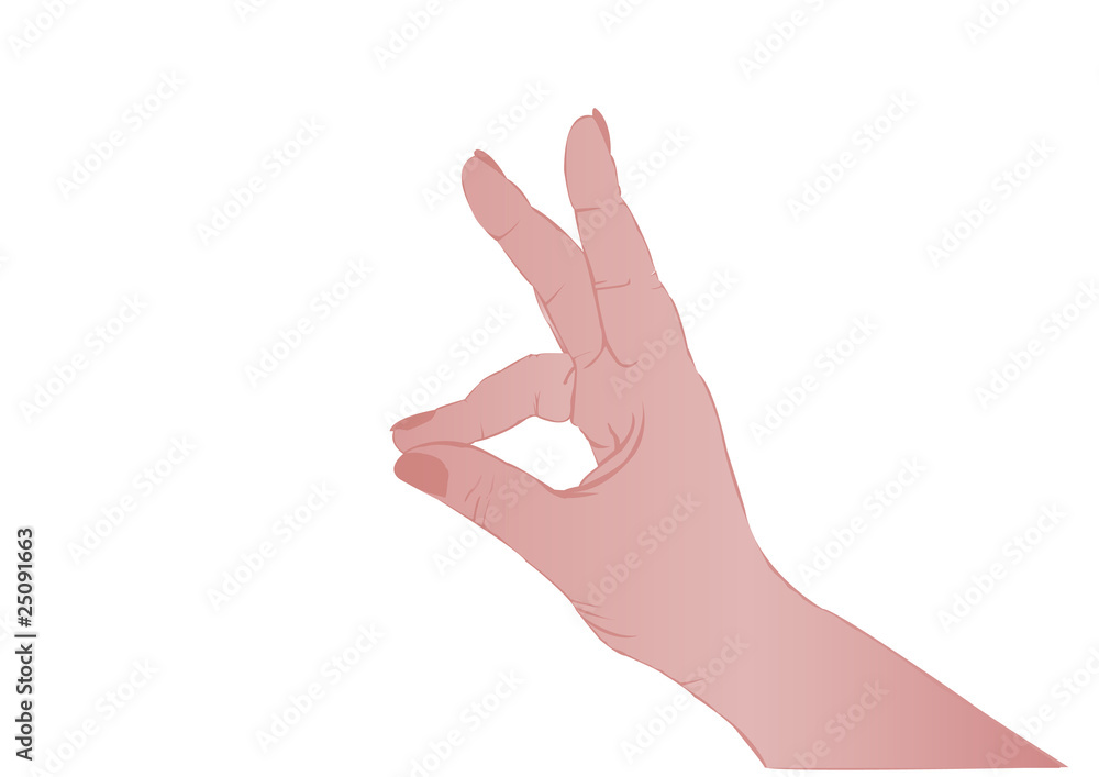 Vector illustration a female hand Vector illustration a female hand