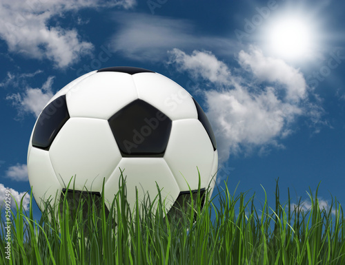 Pallone da calcio tra l'erba © beawolf