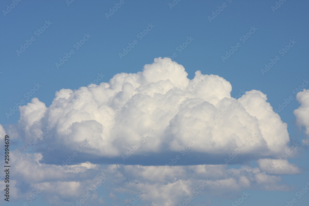 Naklejka premium Fluffy Cloud