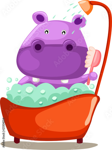 Bathing cute hippopotamus