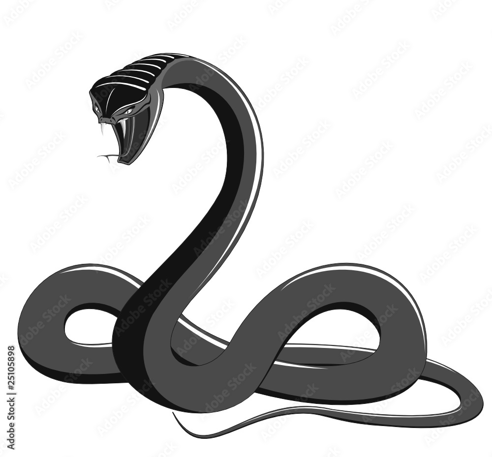Naklejka premium Snake - black and white
