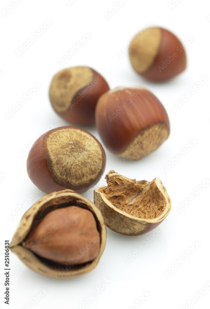 Filbert nuts Filbert nuts