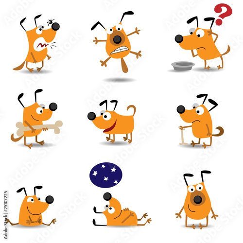 Photography Funny dogs set