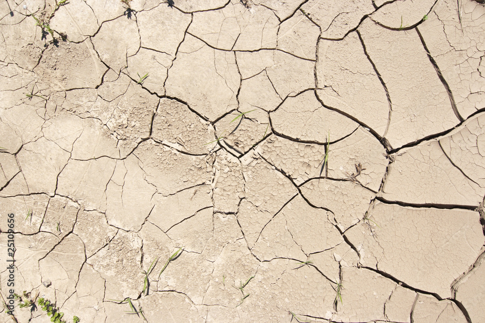 dried ground dried ground