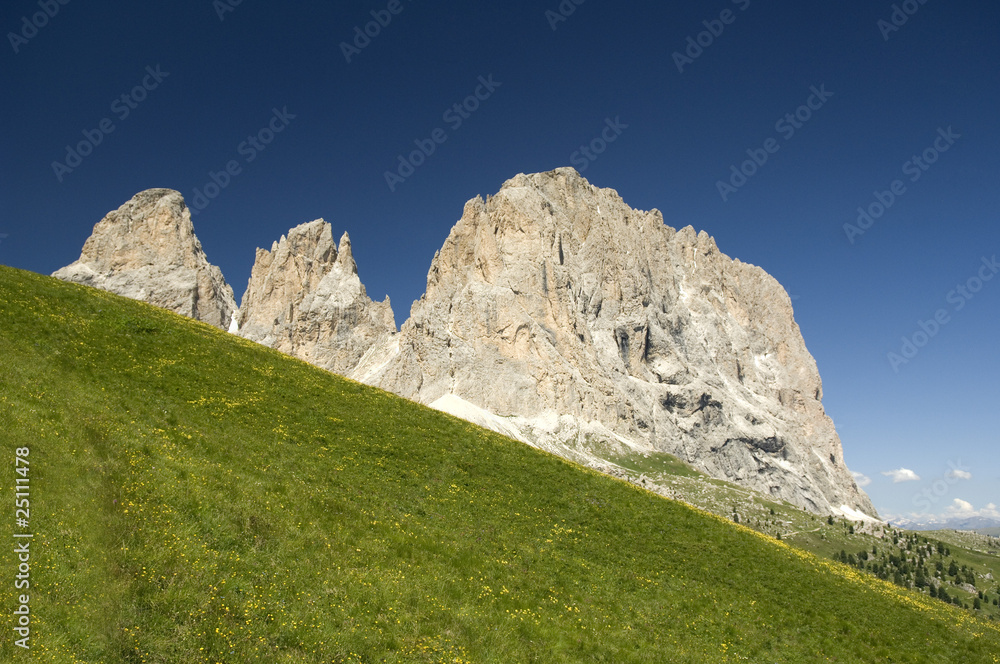 Obraz premium Langkofel; Plattkofel, Sellajoch; Passo Sella