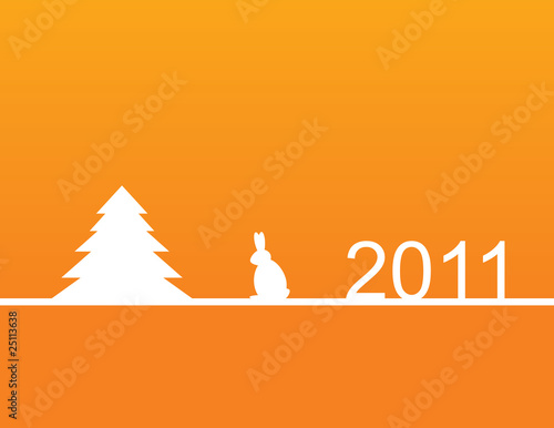 2011