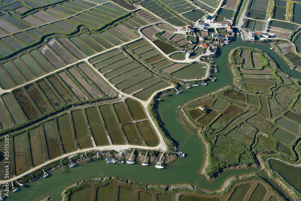 Fototapeta premium Port ostréicole d'Orivol, 17750 Etaules, Pays Royannais, Charent