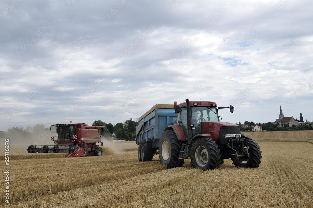 Obraz premium Moisson de blé