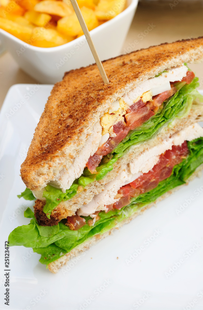Sandwich with French fries Sandwich with French fries