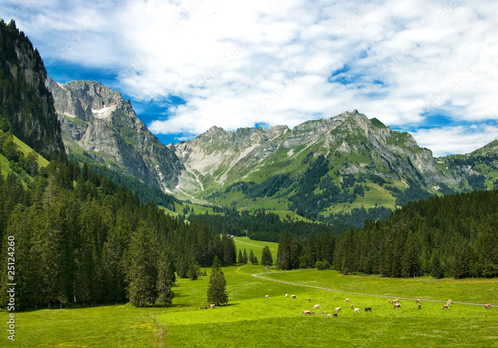 Alps meadow in Switzerland