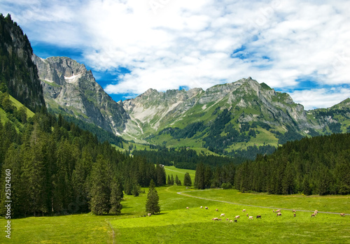 Obraz na płótnie Alps meadow in Switzerland w salonie