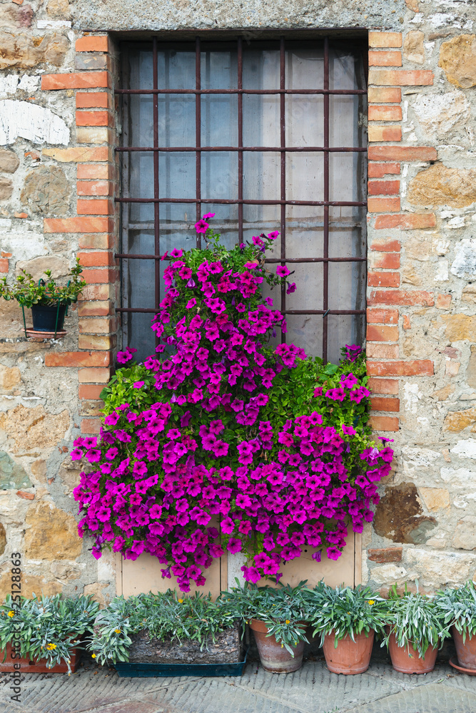 Fototapeta premium Streets of San Quirico D'Orcia,Tuscany. Flower detail.