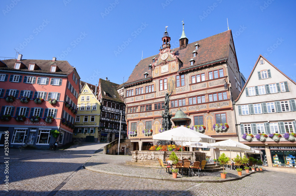 City Hall and Market Square - Tübingen, Germany