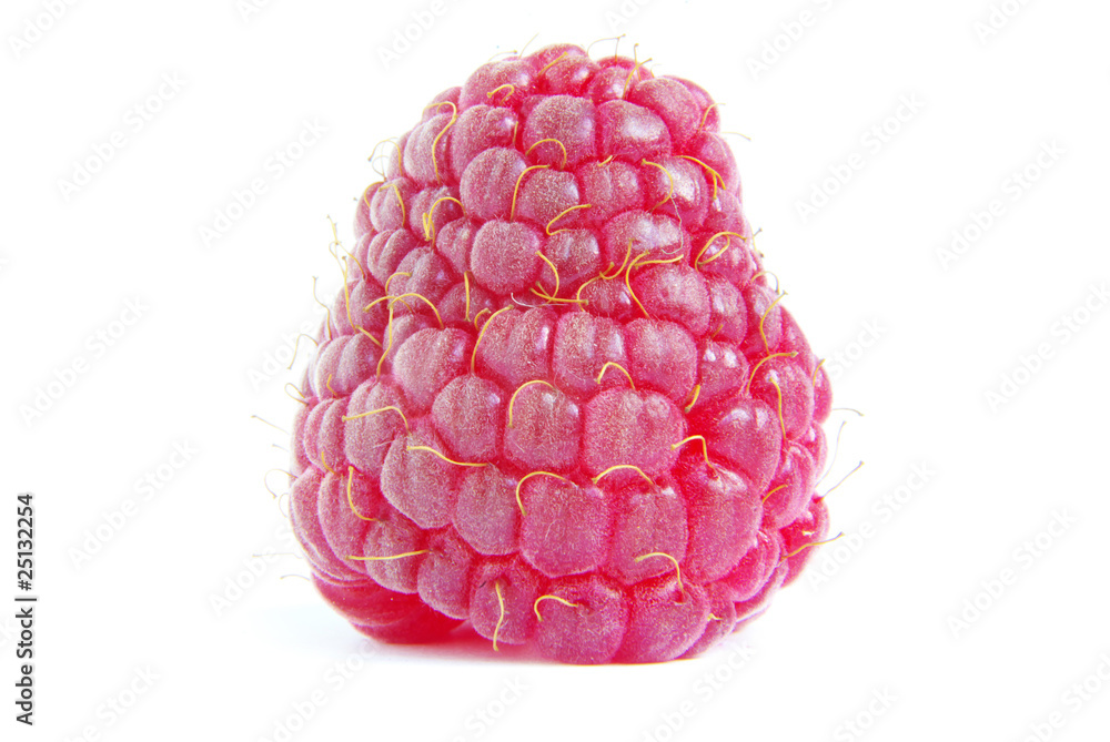 raspberry raspberry