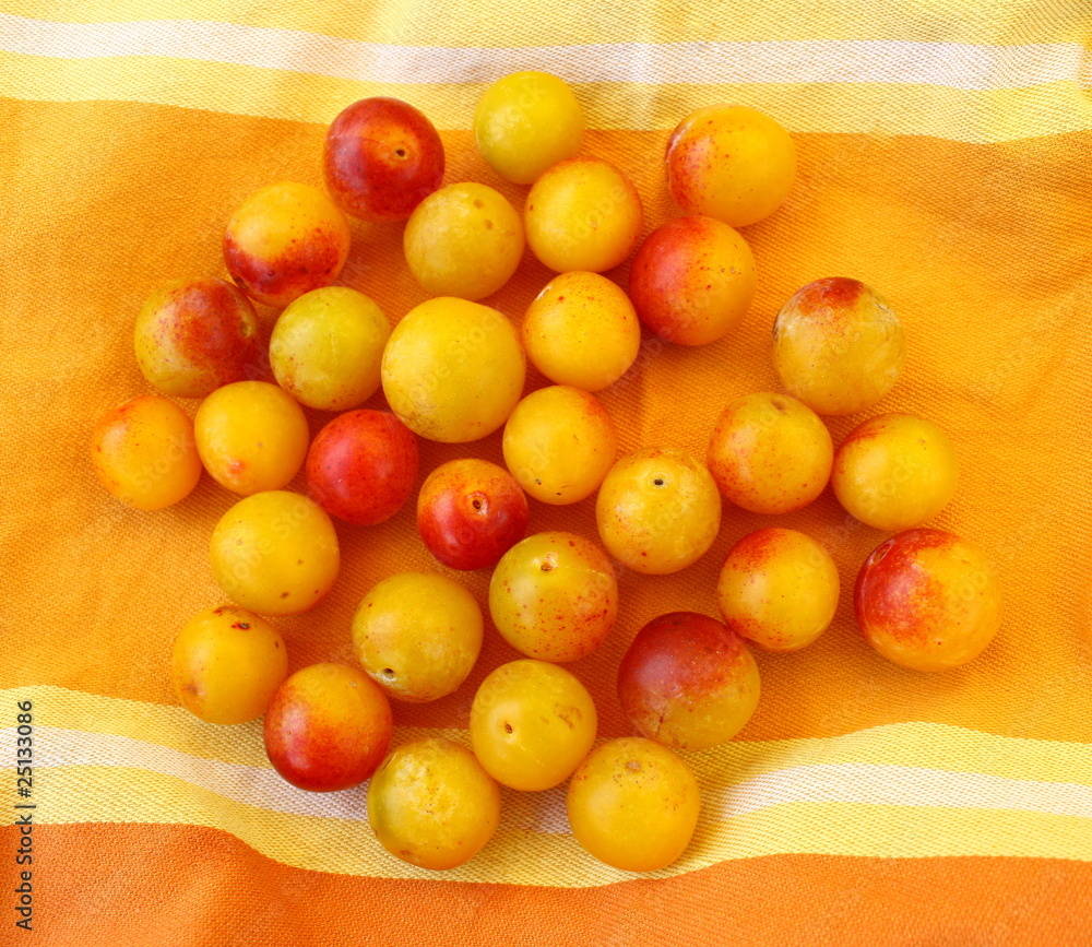 mirabelles sur torchon mirabelles sur torchon