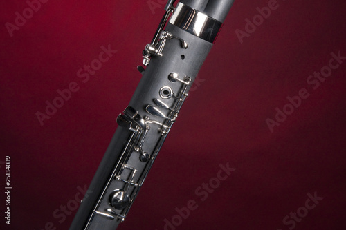 Bassoon Isolated on Red