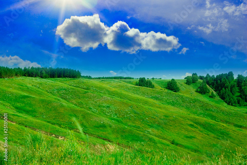 summer landscape