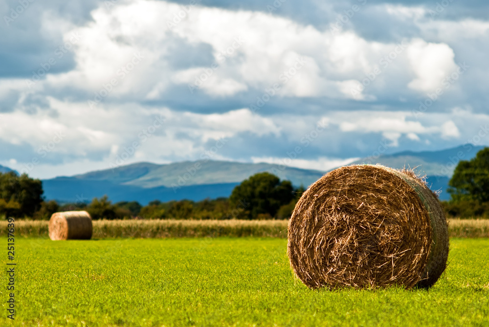 Heuballen auf Feld vor Himmel V3