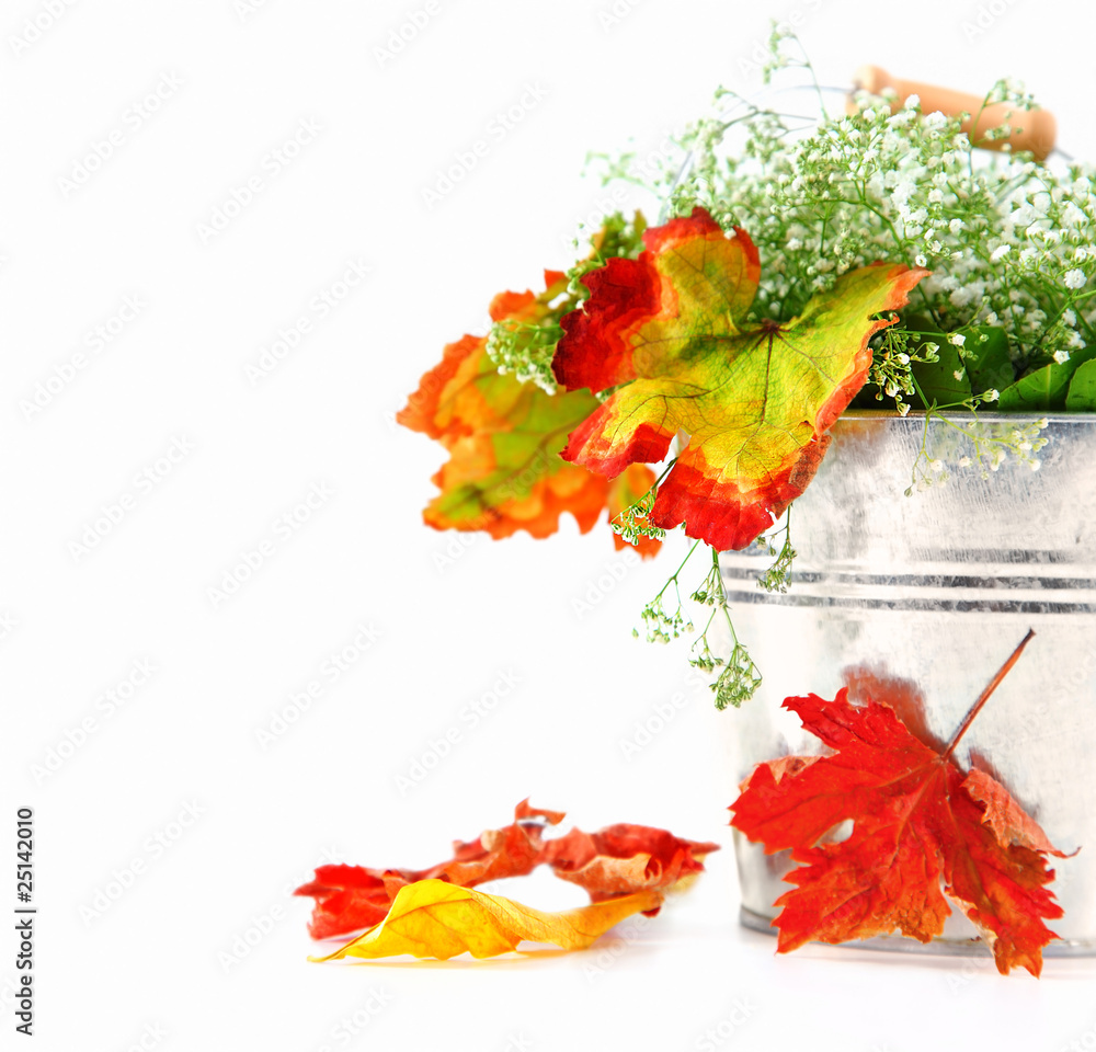 Obraz premium Autumn leaves