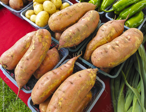 Organic Yams at outdoor Farmers Market