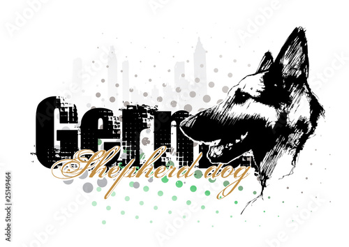 German shepherd dog