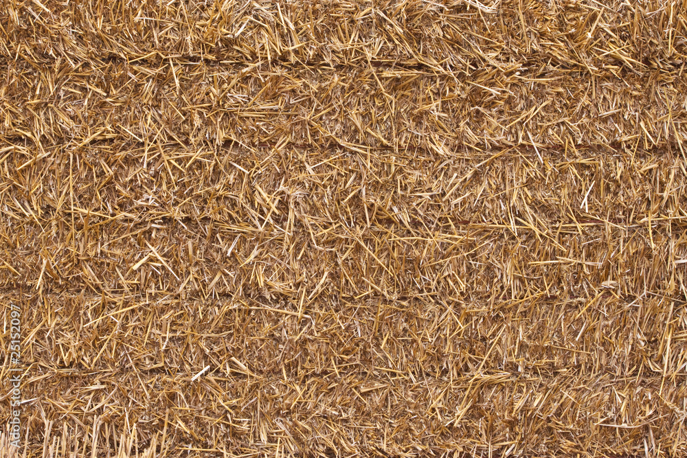 square hay bale - closeup square hay bale - closeup
