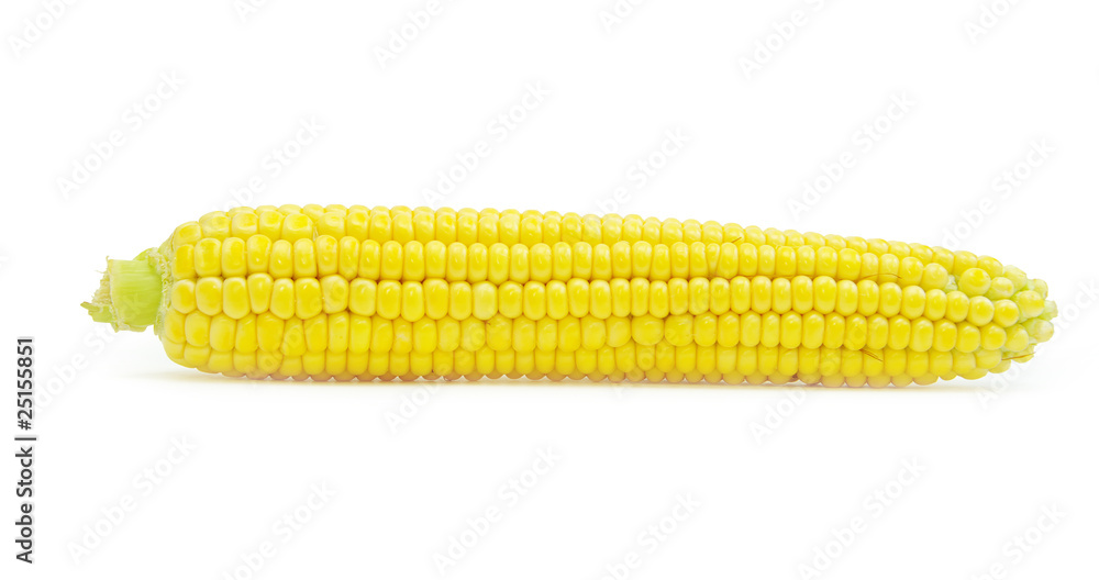 maize maize