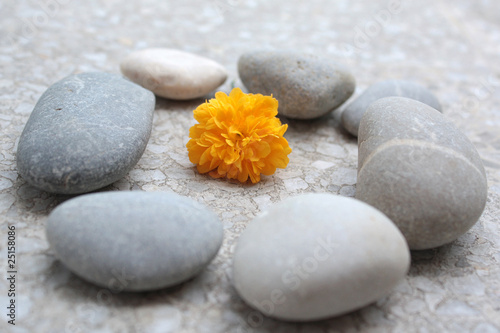 Canvas Print Stones