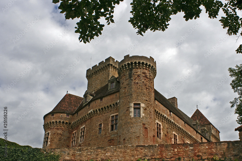 Chateau de castelnau