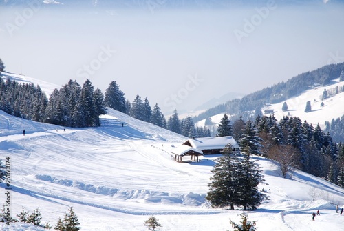 Les Alpes sous la neige © virginievanos