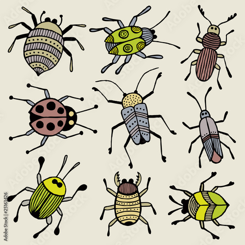 Illustration of hand drawn beetles