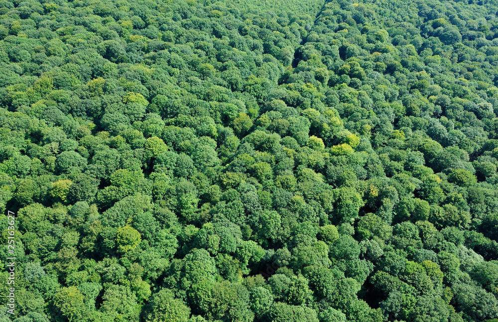 vue aérienne vue aérienne
