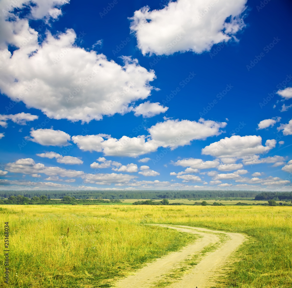 Fototapeta premium Country road through field