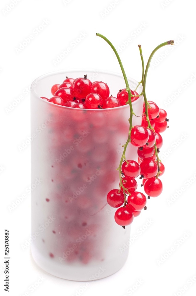 Red currant Red currant