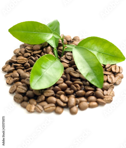 Coffee grains and coffee leaf.