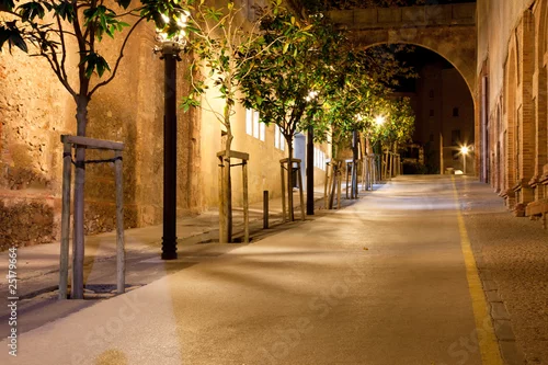 Obraz Ścieżka w nocy